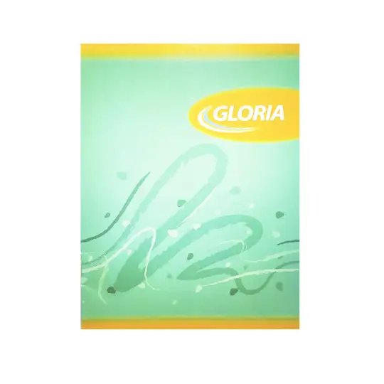 CUADERNO GLORIA 16X21 TAPA FLEXIBLE 24HJS CUADRO