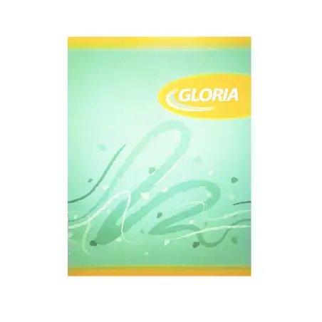 CUADERNO GLORIA 16X21 TAPA FLEXIBLE 24HJS CUADRO