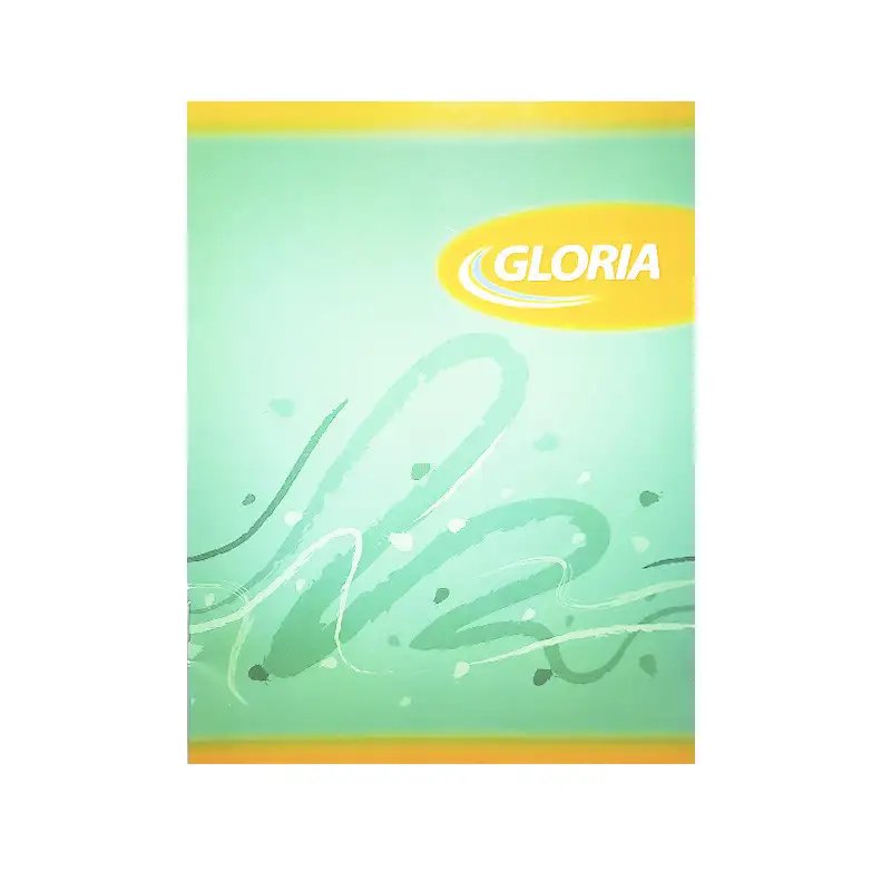 CUADERNO GLORIA 16X21 TAPA FLEXIBLE 24HJS CUADRO