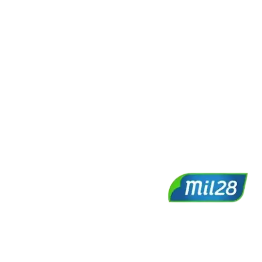 SEPARADOR DE CARTULINA N3 BLANCO MIL28