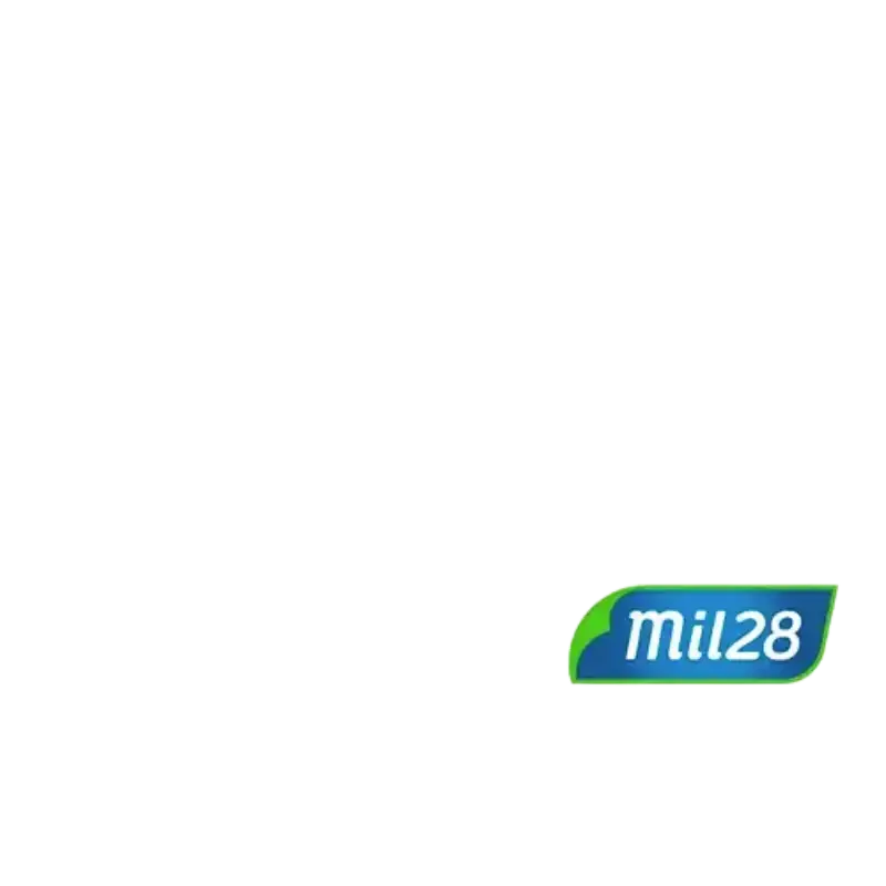 SEPARADOR DE CARTULINA N3 BLANCO MIL28