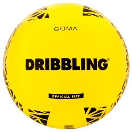 PELOTA DE VOLLEY GOMA