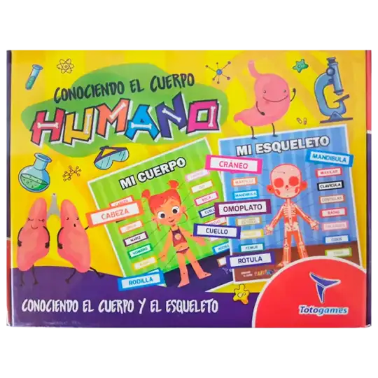 CONOCIENDO EL CUERPO HUMANO