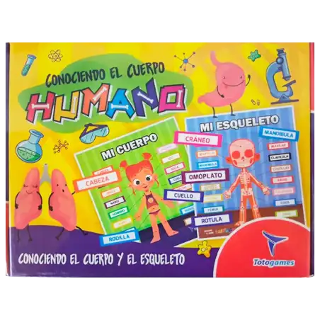 CONOCIENDO EL CUERPO HUMANO