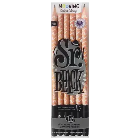 LAPICES GRAFITO MOOVING X6