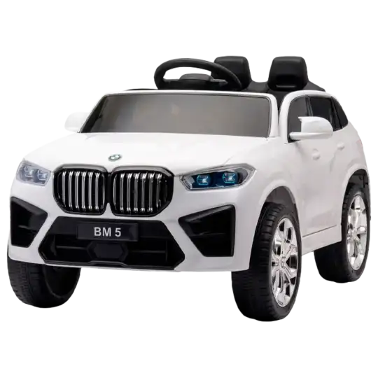 AUTO DEPORTIVO A BATERIA L.Y S. 12V