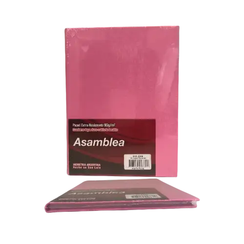 CUADERNO ASAMBLEA 16X21 50HJS RAYADAS ARANIA ROSA