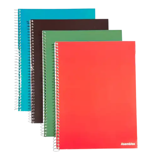 CUADERNO ASAMBLEA COLOR ESP 80HJS RAY