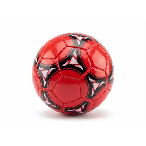 PELOTA N2