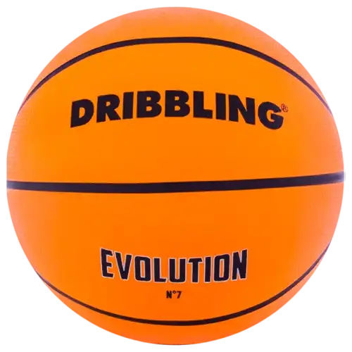 PELOTA DE BASQUET EVOLUTION N7