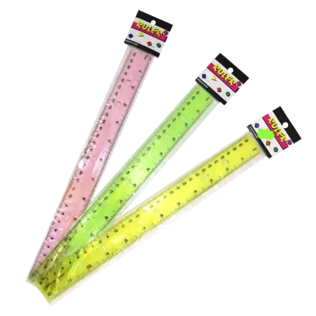 REGLA 30CM RULER x1