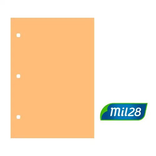 SEPARADOR DE CARTULINA N3 SALMON MIL28