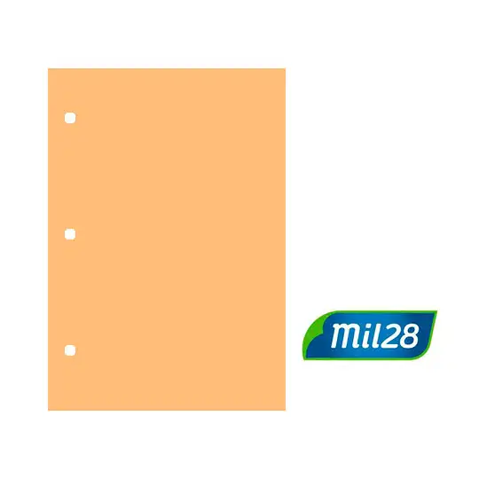 SEPARADOR DE CARTULINA N3 SALMON MIL28