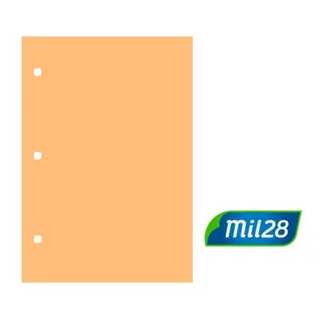 SEPARADOR DE CARTULINA N3 SALMON MIL28