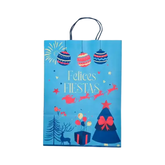 BOLSA FESTIVAS 30X12X41