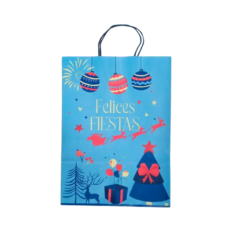 BOLSA FESTIVAS 30X12X41