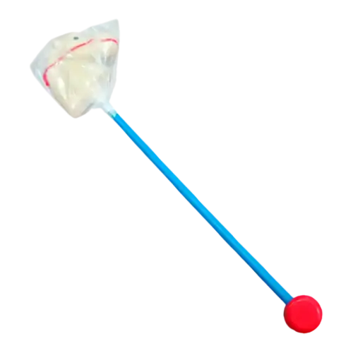 CABALLITO