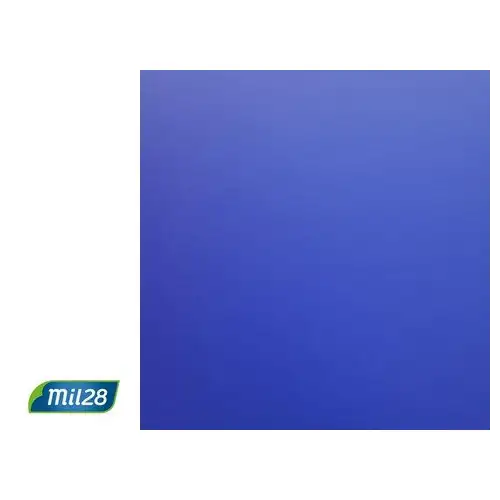 AFICHE AZUL X 12 HJS MIL28