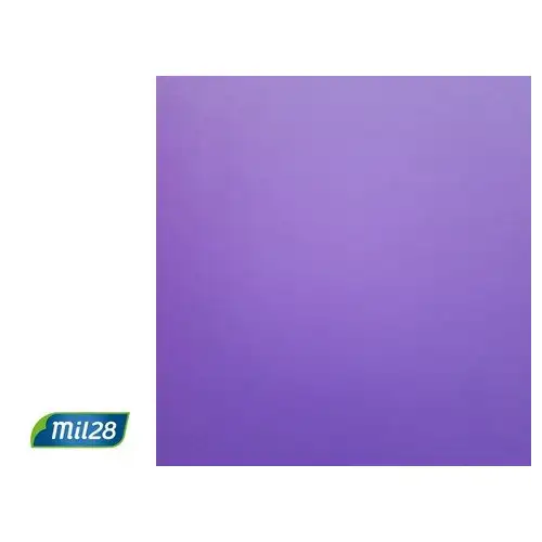 AFICHE VIOLETA X12HJS MIL28
