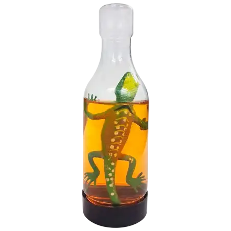 SLIME EN BOTELLA CON BICHO