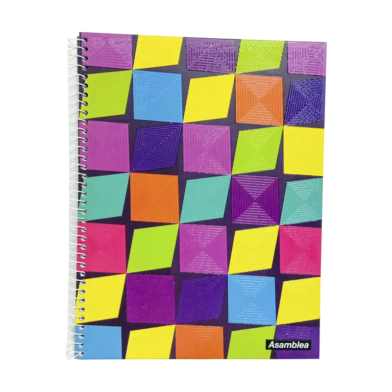 CUADERNO ASAMBLEA 2X29 CUADRO 80HJS ESPIRAL GEOME