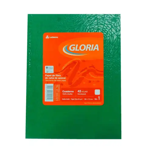 CUADERNO 16X21 ARANIA VERDE 42H RAY GLORIA