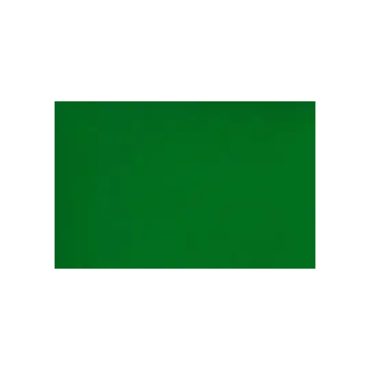 CARTULINA VERDE OSCURO X10 MIL28