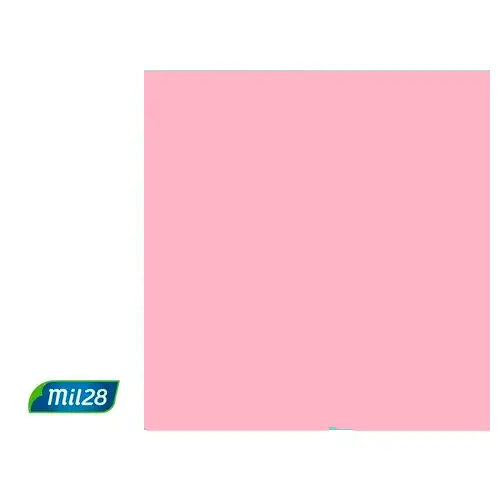 AFICHE ROSA PASTEL X12HJS MIL28