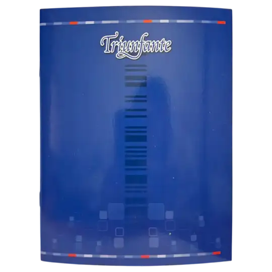 CUADERNO T/FLEX 24H TRIUNFANTE