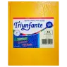 CUADERNO T/D 48H Ray Amari TRIUNFANTE