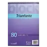 BLOCK A4 C/ESPIRAL 80H Liso TRIUNFANTE