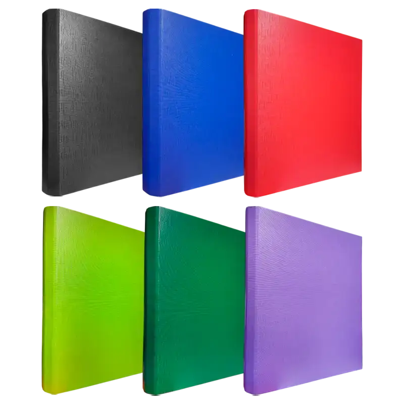 CARPETA A4 PVC SURTIDO REXON