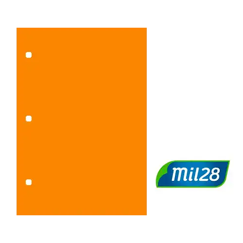 SEPARADOR DE CARTULINA N3 NARANJA MIL28